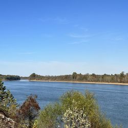Hagy's Catfish Hotel - Tennessee River