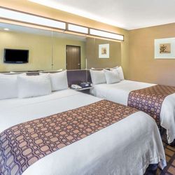 Microtel Inn & Suites by Wyndham Kalamazoo - Guest room