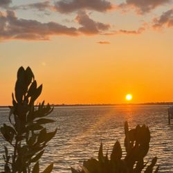Sunset Park - Just another beautiful Florida sunset