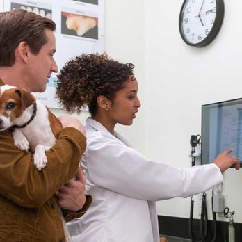 Banfield Pet Hospital - Veterinarians Near Me - Salinas, California Banfield Pet Hospital - Veterinarians Near Me - Salinas, California
