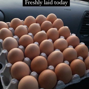 Billy's Egg Farm - 30 flat of Omega-3 eggs - Specialty Food Near Me - Chino, California