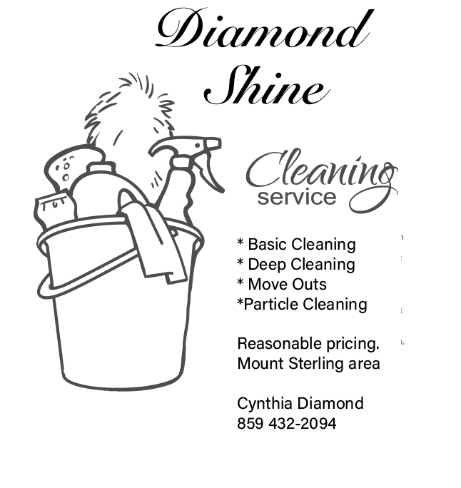 DIAMOND SHINE HOUSE CLEANING - Updated November 2024 - Request a Quote ...