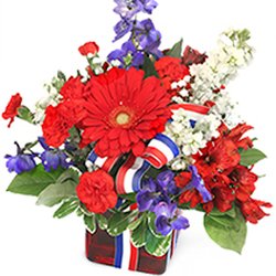 Albemarle Floral