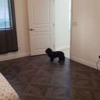 Winner's Painting - Master Bedroom and cute little dog - Painters Near Me - Las Vegas, Nevada Winner's Painting - Master Bedroom and cute little dog - Painters Near Me - Las Vegas, Nevada