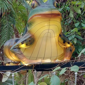 McKee Botanical Garden - Frog watching over you - Botanical Gardens Near Me - Vero Beach, Florida McKee Botanical Garden - Frog watching over you - Botanical Gardens Near Me - Vero Beach, Florida
