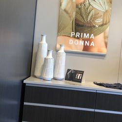 Every Body Bras & Intimates