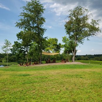 Slater Run Vineyards - Nice seating in the trees - Wineries Near Me - Upperville, Virginia Slater Run Vineyards - Nice seating in the trees - Wineries Near Me - Upperville, Virginia