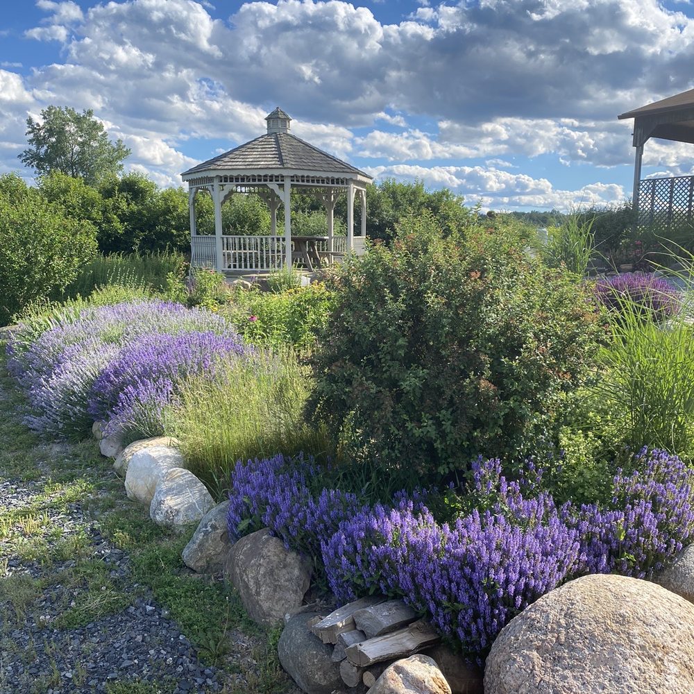 Prejean Winery - Beautiful grounds. - Wineries Near Me - Penn Yan, New York