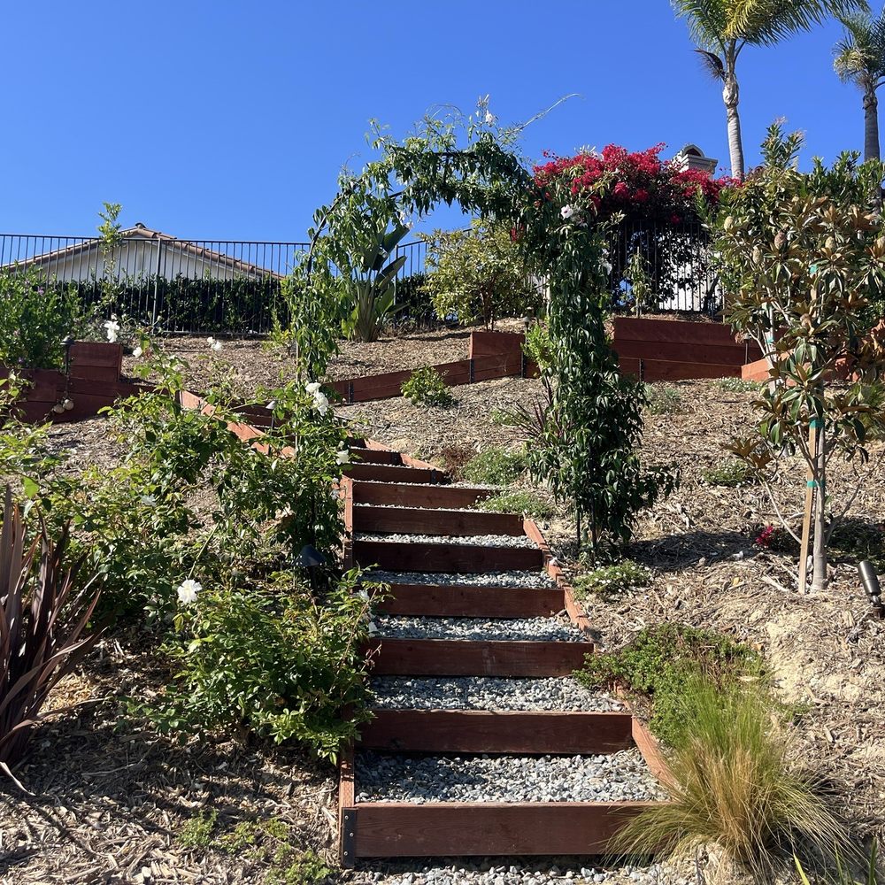 SD3D Landscape - Backyard steps into the garden - Landscape Architects or Designers Near Me - Carlsbad, California SD3D Landscape - Backyard steps into the garden - Landscape Architects or Designers Near Me - Carlsbad, California