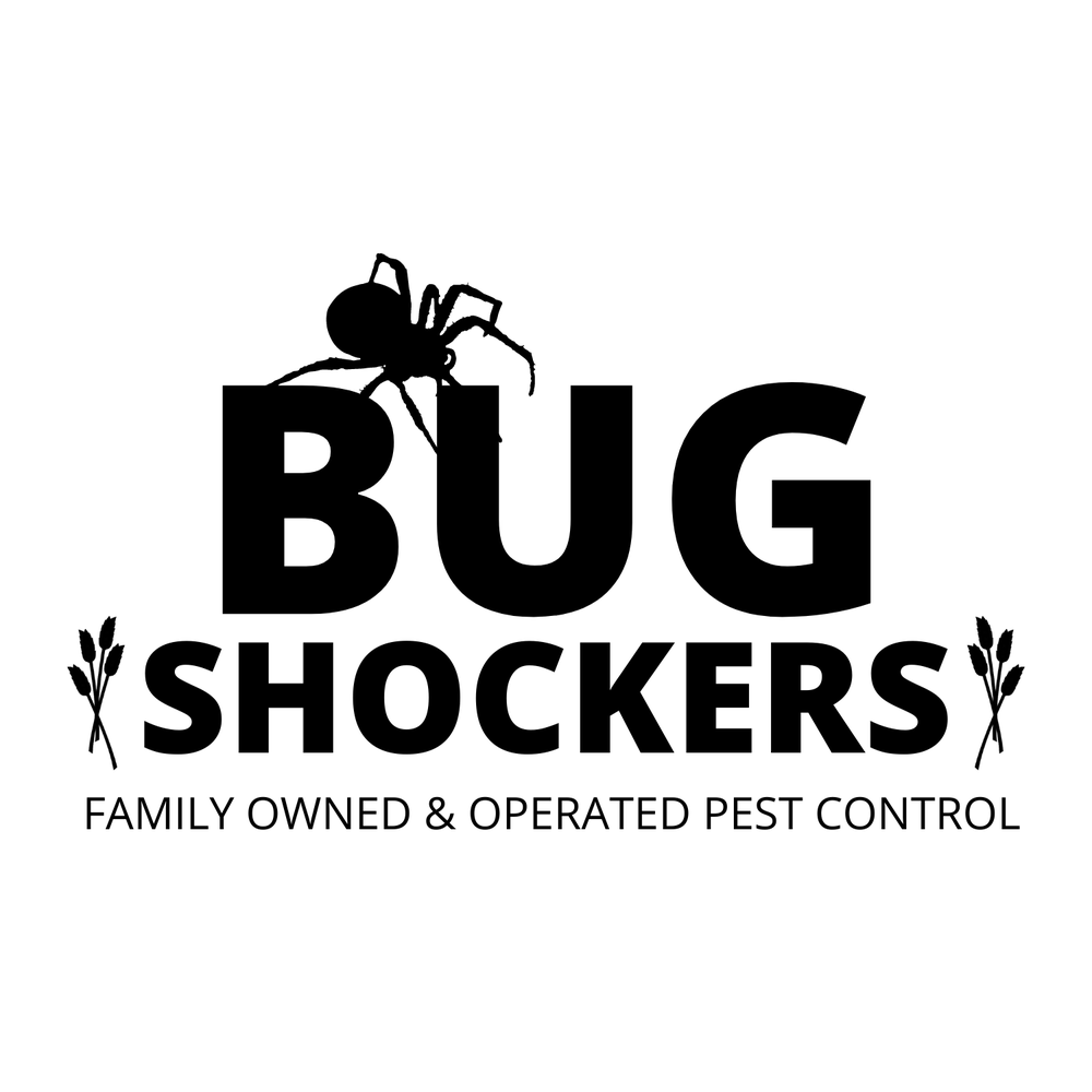 BUG SHOCKERS - Request a Quote - Wichita, KS - Yelp