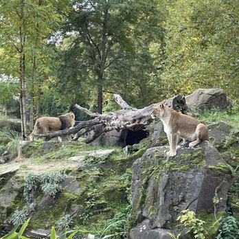 ZOO BERLIN - Zoos Near Me - Berlin, BE