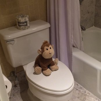 Crowne Plaza Providence-Warwick - Our traveling gnome using the facilities! - Hotels Near Me - Warwick, Rhode Island Crowne Plaza Providence-Warwick - Our traveling gnome using the facilities! - Hotels Near Me - Warwick, Rhode Island