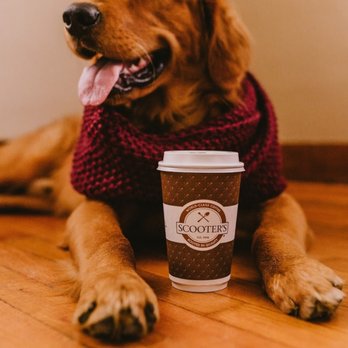 Scooter's Coffee - a dog wearing a sweater and holding a cup of coffee - Coffee & Tea Near Me - Rockledge, Florida