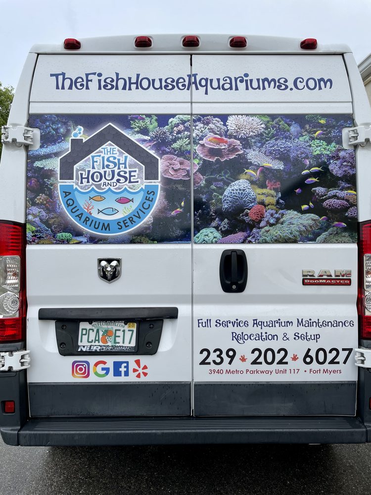 THE FISH HOUSE & AQUARIUM SERVICES Updated September 2024 28 Photos