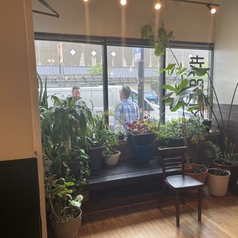 Lao Peng You - Plants near window - Chinese Near Me - Chicago, Illinois