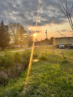 Mr Duck Canoe Rental