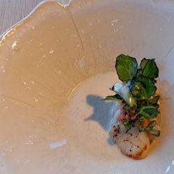 Ox & Klee - Jakobsmuschel, Kaviar, Rhabarber, Vanille, Mandel. / Scallop, caviar, black lime, rhubarb, vanilla, almond.  2023 09 01. M2.