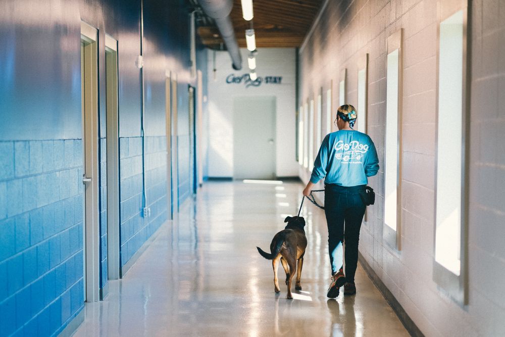 GODOG DURHAM Updated August 2024 Request an Appointment 13 Photos 4350 Garrett Rd