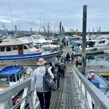 Alaska Coastal Marine - Boarding our Charter Boat - Boat Charters Near Me - Homer, Alaska Alaska Coastal Marine - Boarding our Charter Boat - Boat Charters Near Me - Homer, Alaska