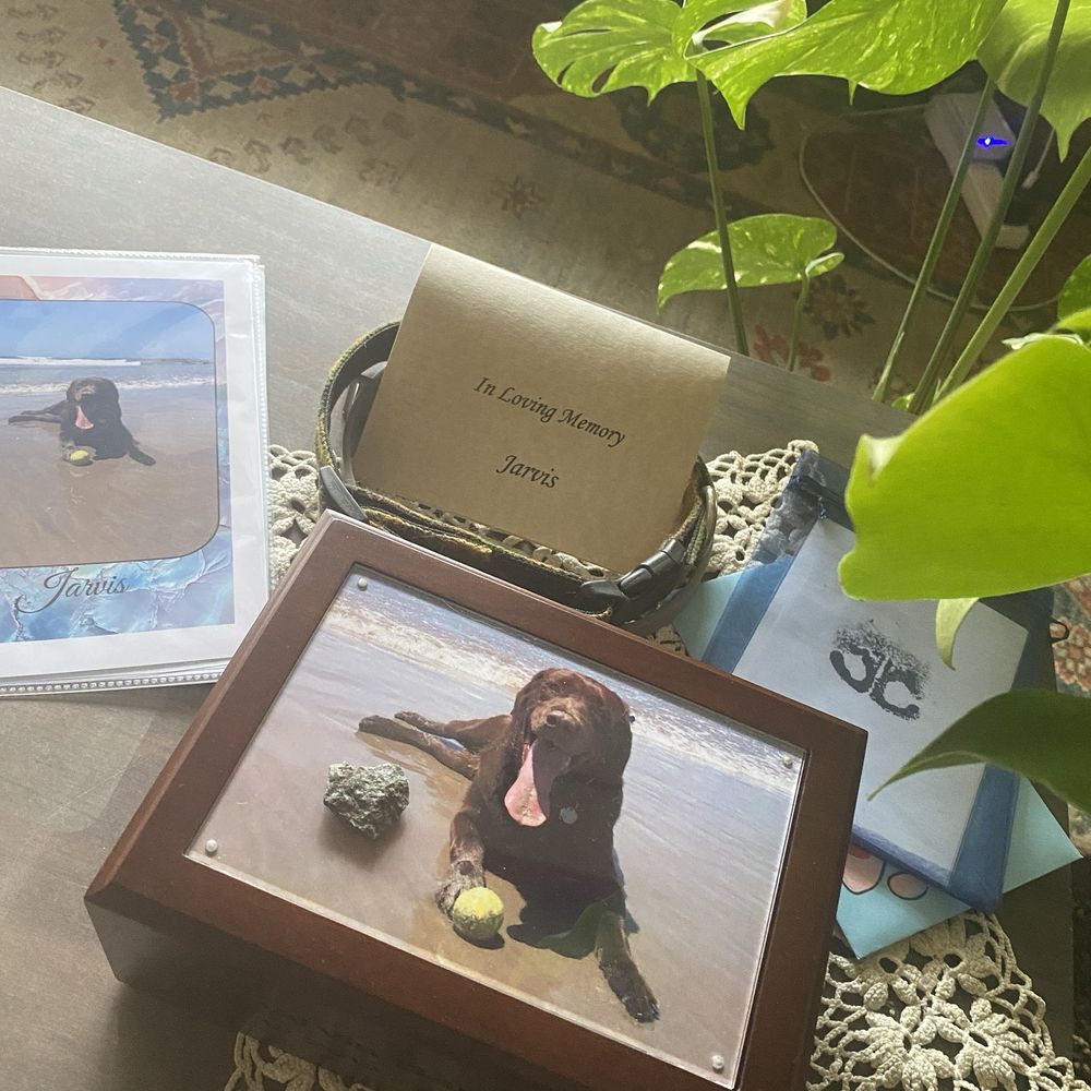 Small Paws Cremations - Pet Cremation Services Near Me - Los Angeles, California Small Paws Cremations - Pet Cremation Services Near Me - Los Angeles, California