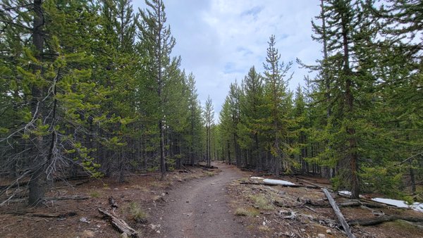 Biscuit Basin by null