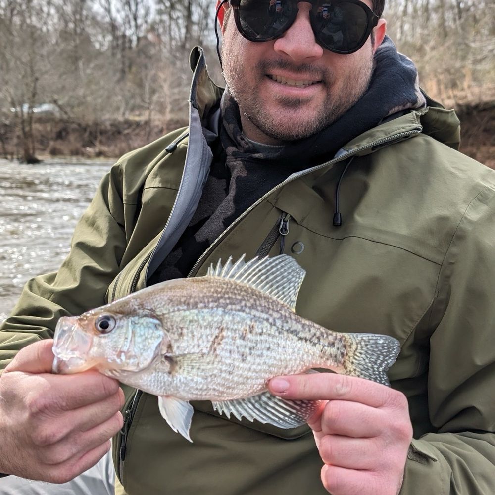 Raleigh Flyfishing - I think this is a crappie! And no I'm not talking about my bad hair day... - Fishing Near Me - Wake Forest, North Carolina Raleigh Flyfishing - I think this is a crappie! And no I'm not talking about my bad hair day... - Fishing Near Me - Wake Forest, North Carolina
