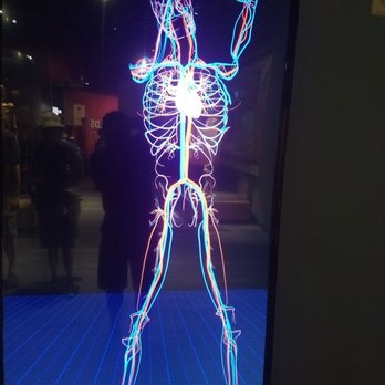 The Tech Interactive - that's me taking a picture of a diagram of the central nervous system, moving as I move - Museums Near Me - San Jose, California The Tech Interactive - that's me taking a picture of a diagram of the central nervous system, moving as I move - Museums Near Me - San Jose, California