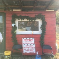 Matt's Christmas Tree Farm - Checkout booth