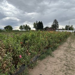 Ogden Bay Produce