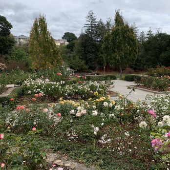 Morcom Municipal Rose Garden - Parks Near Me - Oakland, California