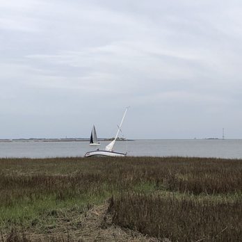 Waterfront Park - Just as a bird decided to photo bomb. - Parks Near Me - Charleston, South Carolina