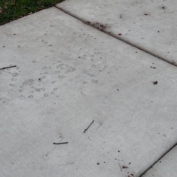 Total Paving and Brick Services - General Contractors Near Me - Park City, Illinois