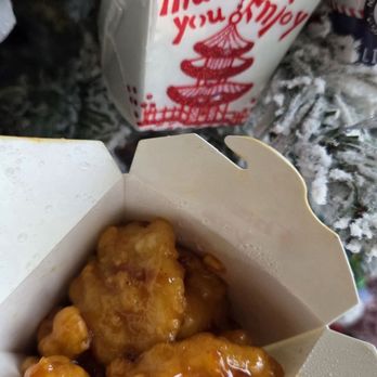 Orange Chicken Spot - Orange Chicken and my Christmas ornament. - Fast Food Near Me - Tempe, Arizona Orange Chicken Spot - Orange Chicken and my Christmas ornament. - Fast Food Near Me - Tempe, Arizona