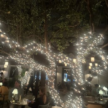 Cecconi's Miami Beach - Italian Near Me - Miami Beach, Florida