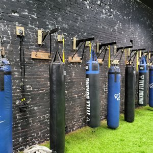 STRONG & SHAPELY GYM - Updated March 2025 - 53 Photos & 53 Reviews