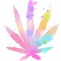 Photo of CannaConciergePC