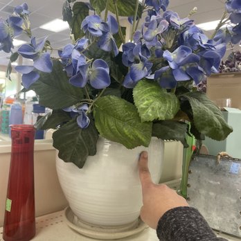 Goodwill - $24.99 medium sized pot with flower arrangement. - Thrift Stores Near Me - Ventura, California Goodwill - $24.99 medium sized pot with flower arrangement. - Thrift Stores Near Me - Ventura, California