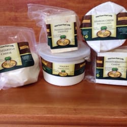My Artisano Foods - Cheeses and yogurts