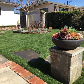 AL Lopez Landscaping - Marathon II sod after first mowing. Thick, dark green and beautiful! - Landscaping Near Me
