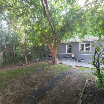 Padilla Tree Service - This is the diseases tree that had to be removed. - Tree Services Near Me