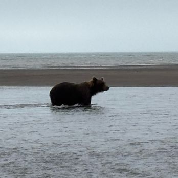 Catch A Lot Charters - Fishing Near Me - Homer, Alaska Catch A Lot Charters - Fishing Near Me - Homer, Alaska