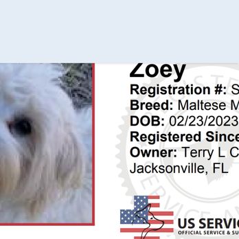 Hunan Wok Restaurant - Documented Service Animal. D.A.D. Diabetic Alert Dog - New American Near Me - Jacksonville, Florida