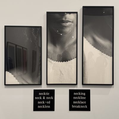 The Studio Museum in Harlem by null