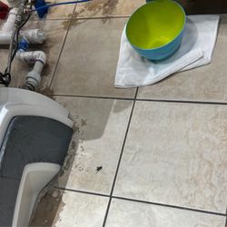Top Nails - Filthy floors with large dead bugs at the bottom of the chairs-