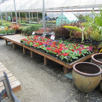 Tony's Garden Center - Nurseries & Gardening Near Me - Portland, Oregon Tony's Garden Center - Nurseries & Gardening Near Me - Portland, Oregon