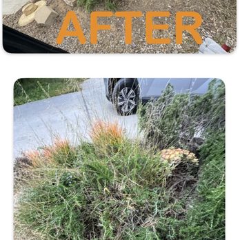Landscape To Paradise - Landscaping Near Me Landscape To Paradise - Landscaping Near Me