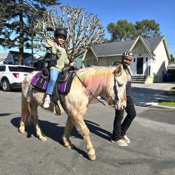 Mr. Todd's Pony Parties - Shorty the rainbow pony - Party & Event Planning Near Me