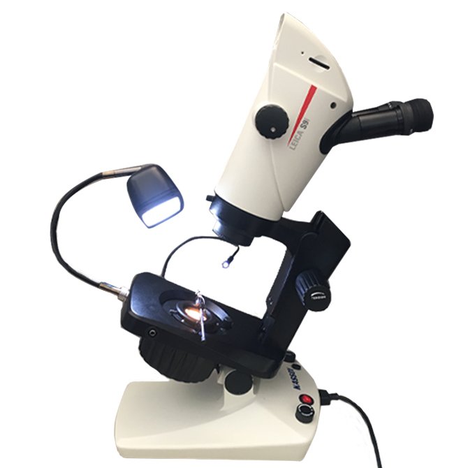 KASSOY LLC Updated September 2024 101 Commercial St, Plainview, New