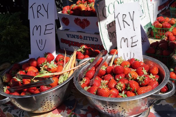 Campbell Farmer's Market by null