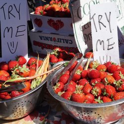 Campbell Farmers Market - Free samples